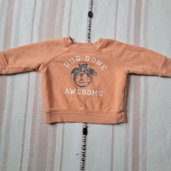 Baby Gap 3-6 months Gender Neutral Orange Dog Sweatshirt - Picture 3 of 5